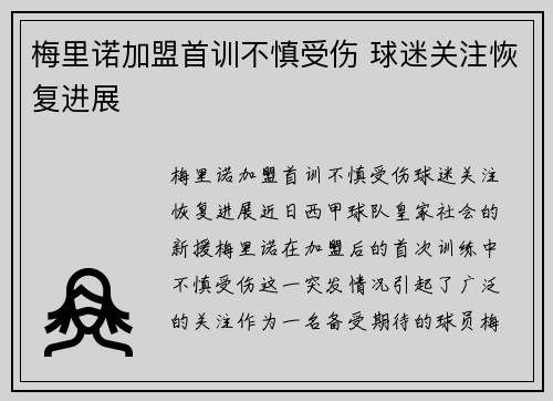 梅里诺加盟首训不慎受伤 球迷关注恢复进展 梅里诺加盟首训不慎受伤 球迷关注恢复进展